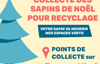 Collecte de sapin de noël 2025