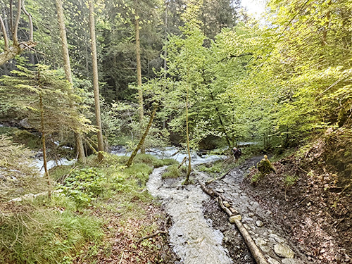 Aménagement du sentier Mère-Eau Passy la bédière, l'Ugine