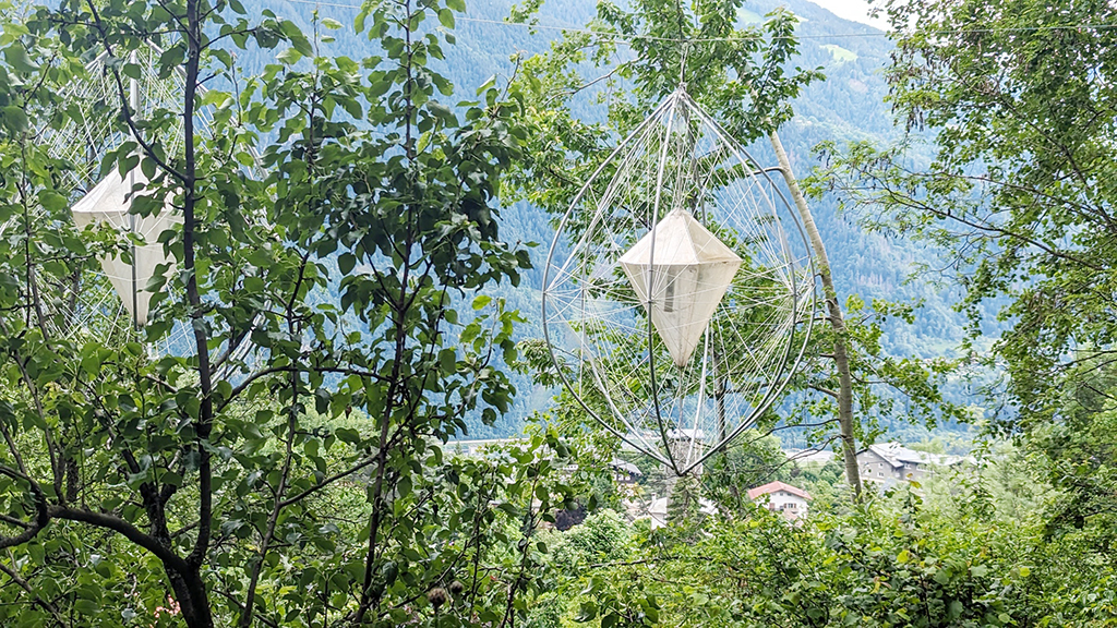 Le Jardins des Cimes Passy