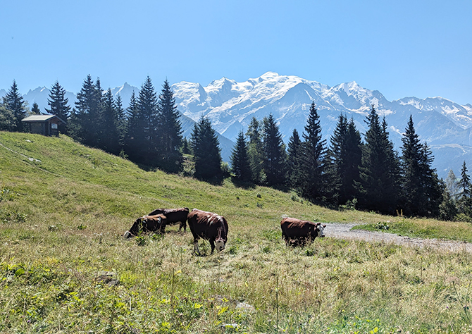 Station Passy Plaine-Joux, hiver comme été