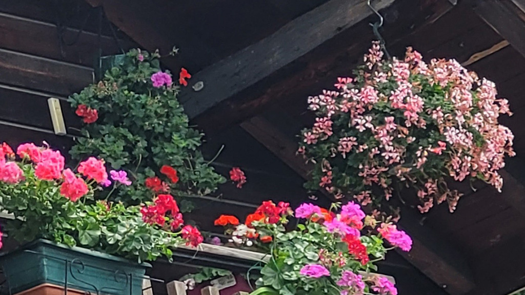Fenêtres-Balcons-Terrasses 1er prix