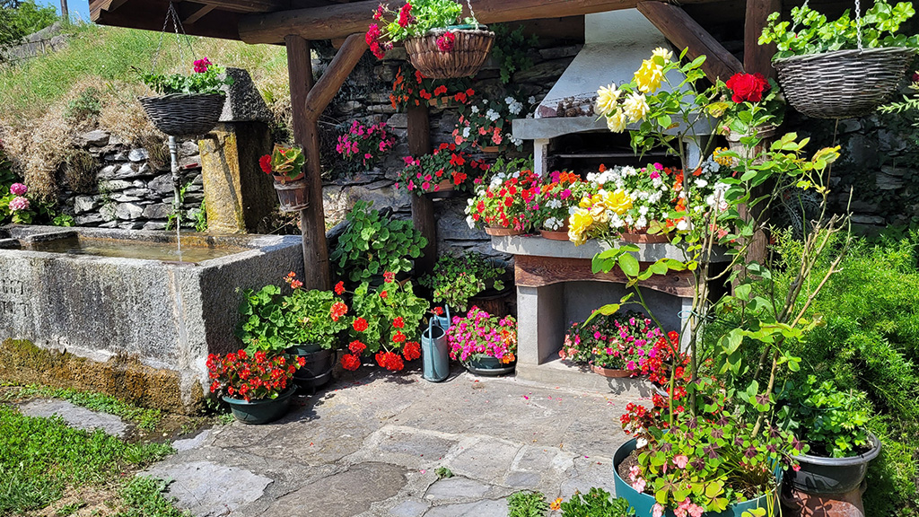 Ancienne ferme 1er prix