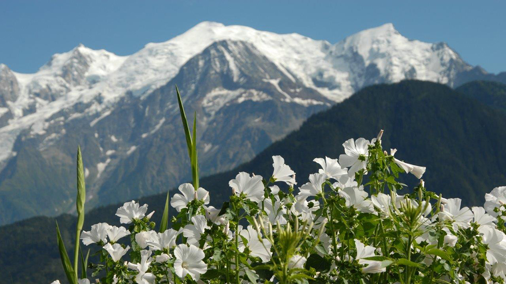 Le Jardins des Cimes Passy