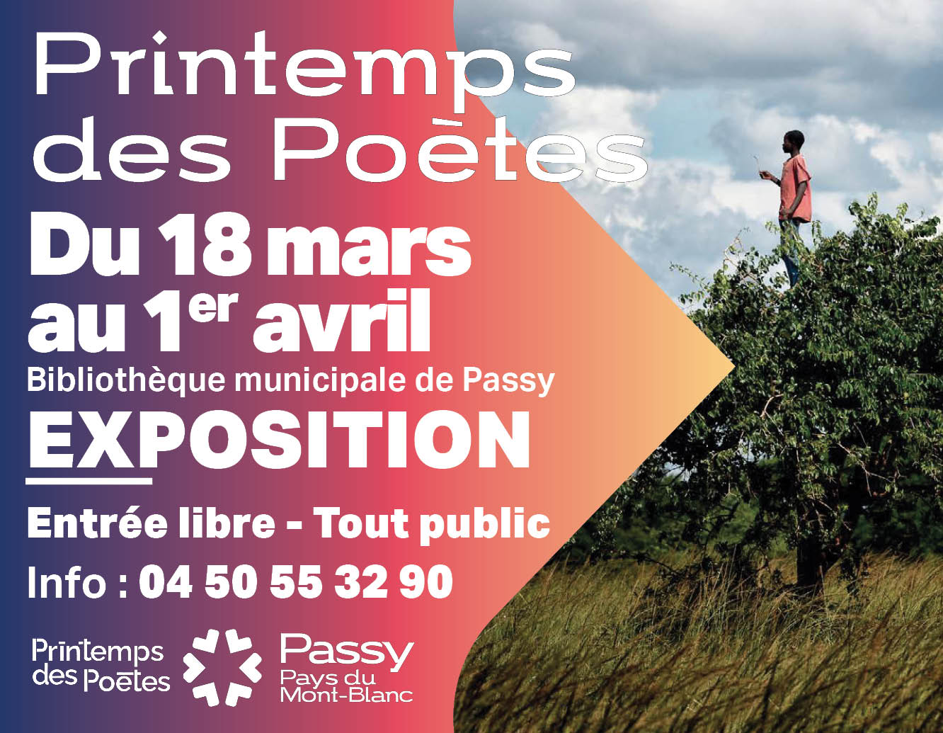 Printemps des Poètes Exposition Bibliothèque